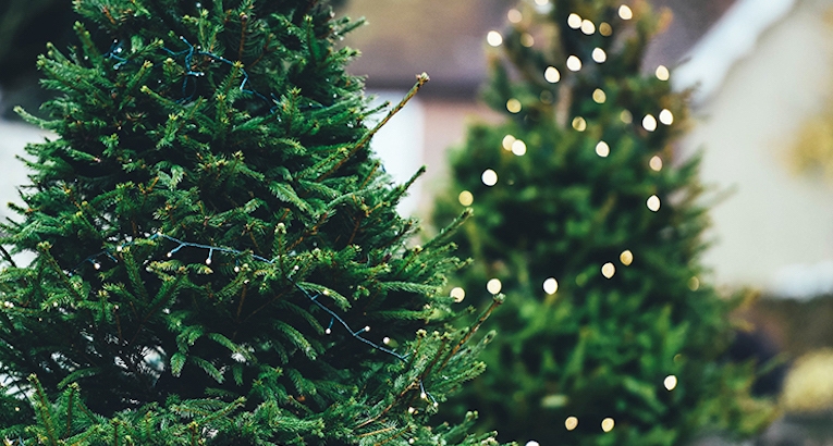 Cosa significa Natale e come si festeggia nel mondo? Ecco alcune curiosità