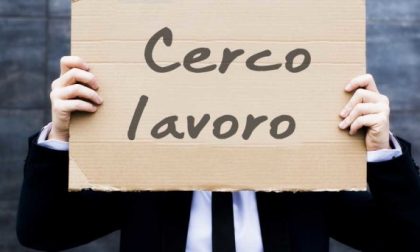 Job Week a Mantova Nove giorni per cercare lavoro