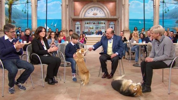Regina Elisabetta nega un Corgie al piccolo goitese, ci pensa Magalli in diretta tv