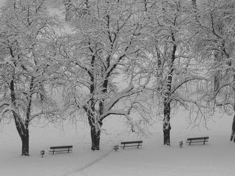 Neve Mantova secondo le previsioni non si ferma e si teme gelicidio