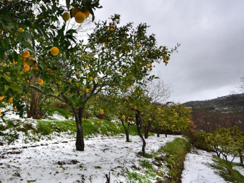 Neve e Burian nella Bassa quanto ci state costando