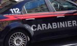 Blitz carabinieri cinofili Viadana: una raffica di operazioni