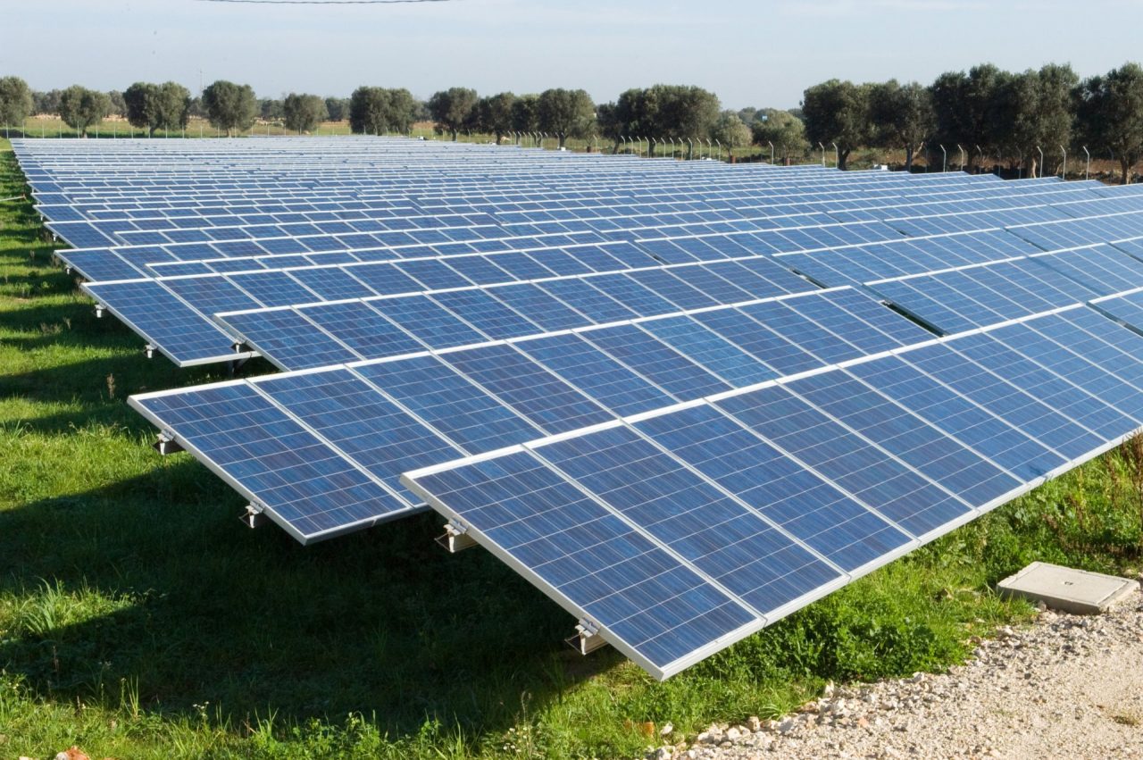 L’appello di Confai: più fondi all’agricoltura per produrre energia elettrica