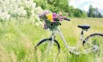 Gita in bicicletta a caccia di arte e cibi del territorio Mantovano
