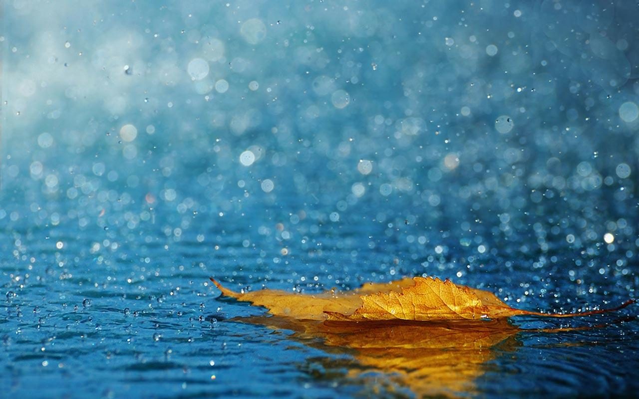 Per quanto pioverà ancora nella Bassa? PREVISIONI METEO