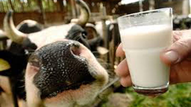 Dopo le flessioni, mercato in ripresa per il latte: ma è incognita consumi 