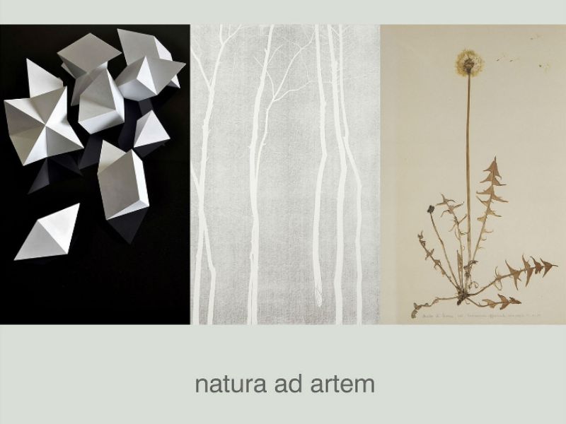 Natura ad artem la mostra a Parco Bertone