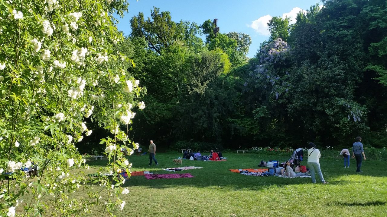 Eventi Mantova 2018 | Estate al Parco delle Bertone