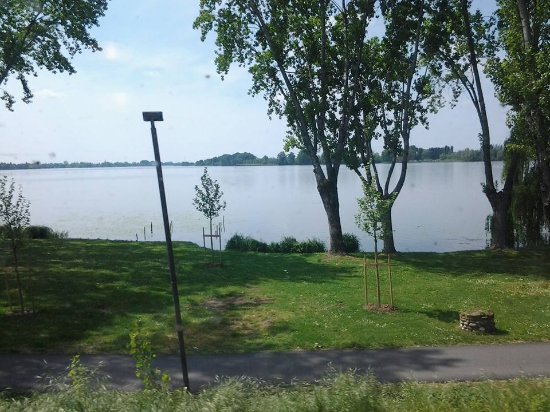 Ramo caduto al Parco Belfiore, avviata inchiesta