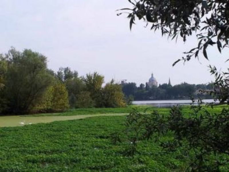 Parco del Mincio: al via i lavori per eradicare la “Ludwigia grandiflora”