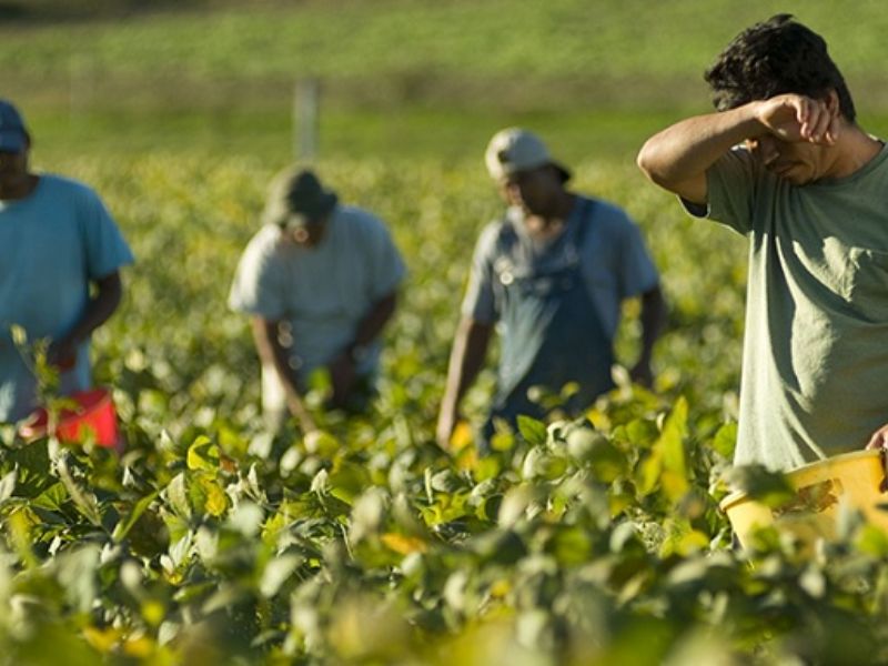 Caporalato e lavoro nero, un arresto e due denunce