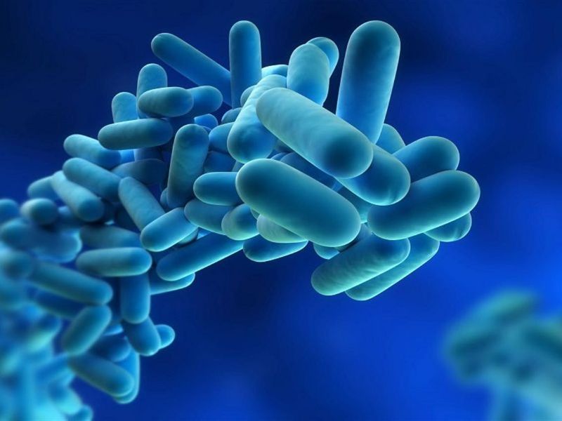 Legionella in Lombardia, un caso anche a Mantova