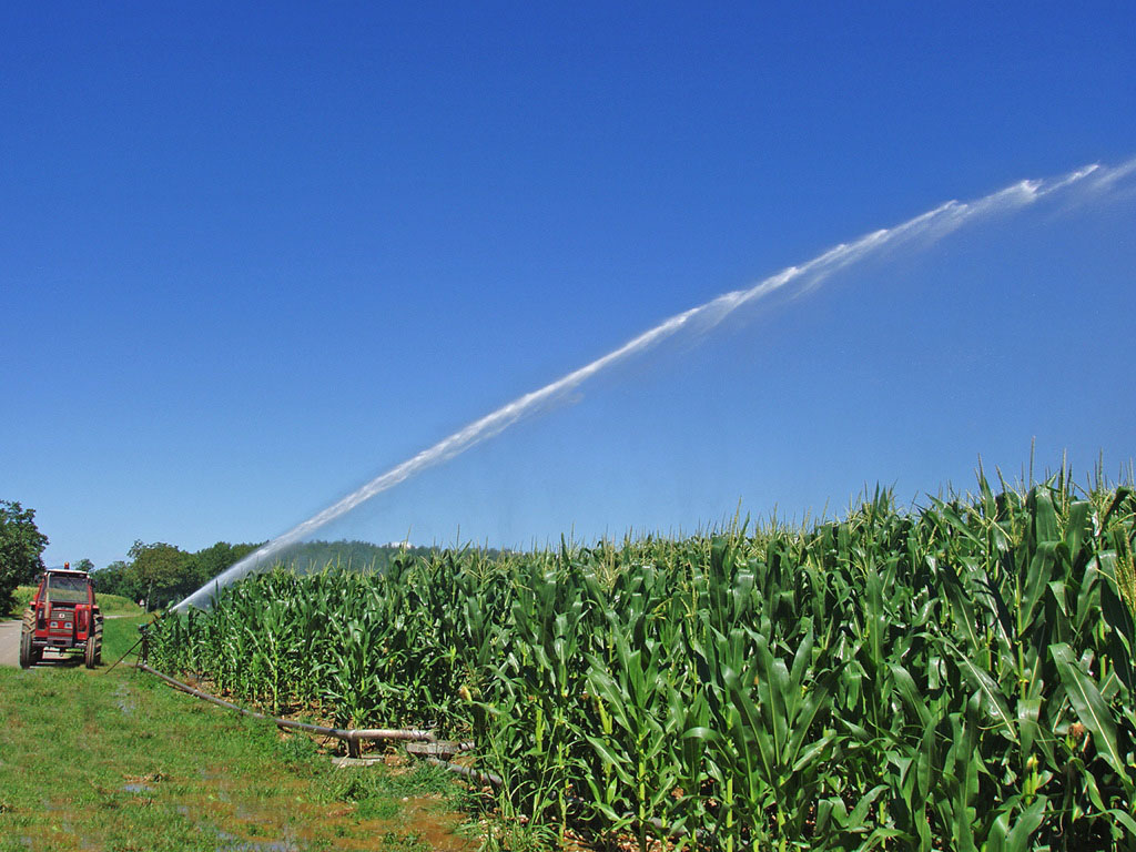Coldiretti Mantova: ondata di furti tra Acquanegra e Mariana