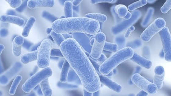 La legionella torna a colpire, muore una 57enne nel cremonese
