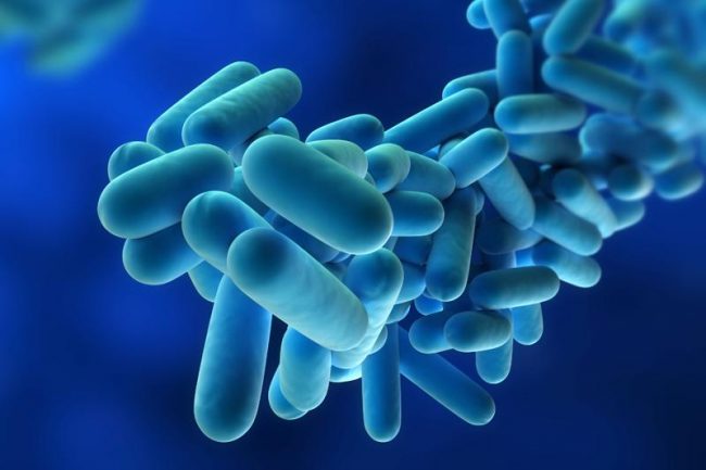 Muore di legionella a 51 anni: torna l’incubo in Lombardia?