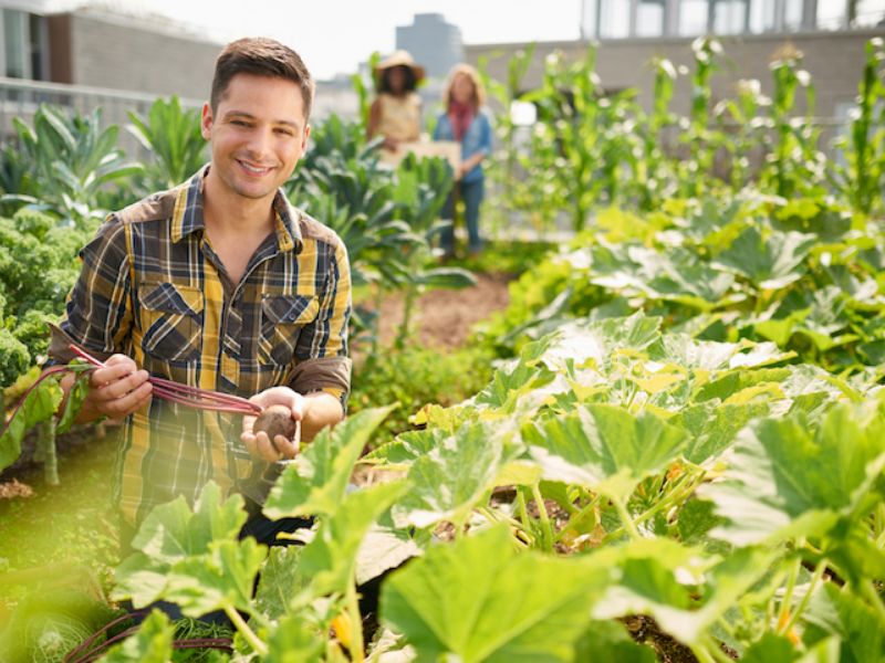 ITS Agroalimentare, via libera da Regione Lombardia al secondo corso