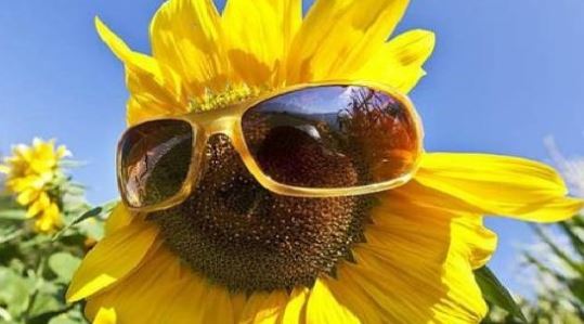 L’estate continua: ecco le previsioni meteo del week end