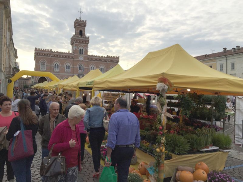 Festa della Zucca a Casalmaggiore con il mercato di Campagna Amica