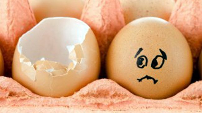 Rischio salmonella: ritirato lotto di uova fresche