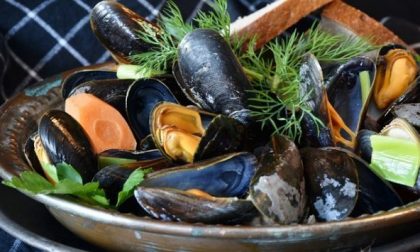 Rischio colera per cozze sarde ritirate dal mercato