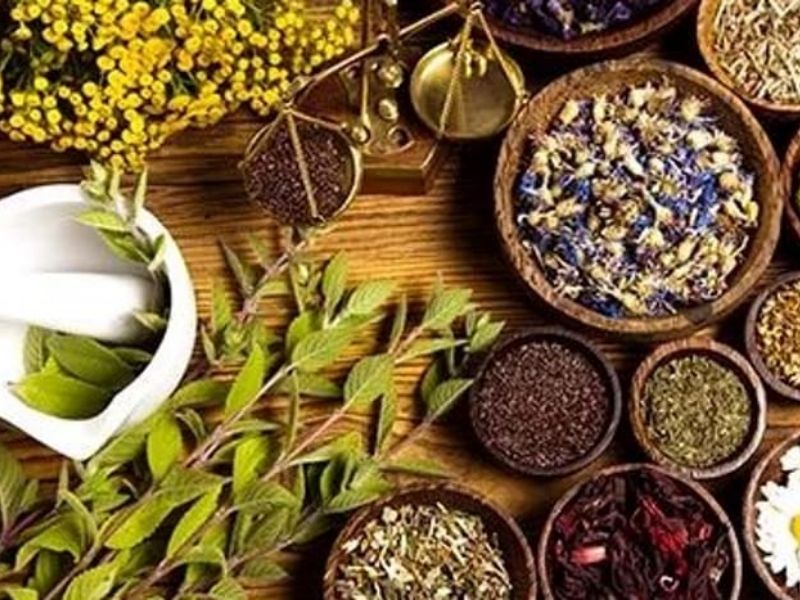 Agricosmesi e piante officinali in piazza Broletto con Mantova Capitale del Gusto