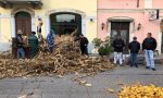 Mestieri e mezzi agricoli di una volta in scena alla Fiera dei Morti di Asola VIDEO e FOTO