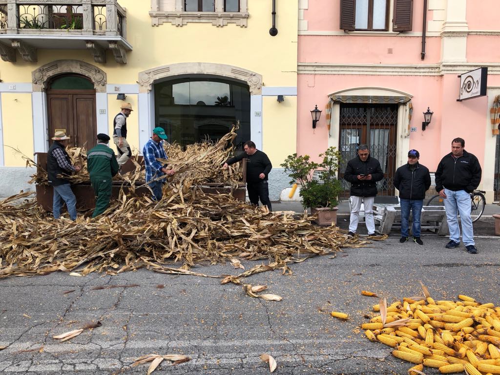Mestieri e mezzi agricoli di una volta in scena alla Fiera dei Morti di Asola VIDEO e FOTO