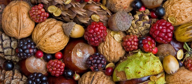 “Eat Original, scegli l’origine”: oggi a Mantova puoi tutelare il tuo territorio