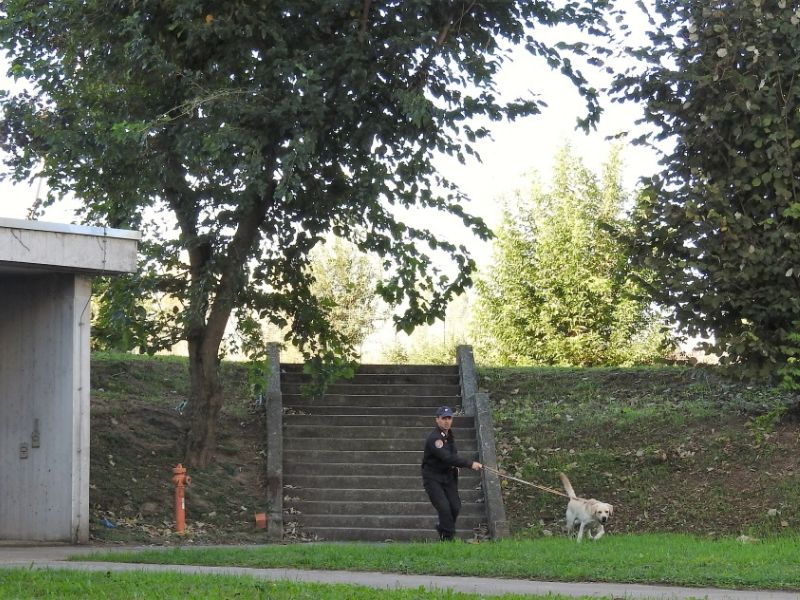 Cani antidroga nelle scuole, al setaccio aule e aree comuni