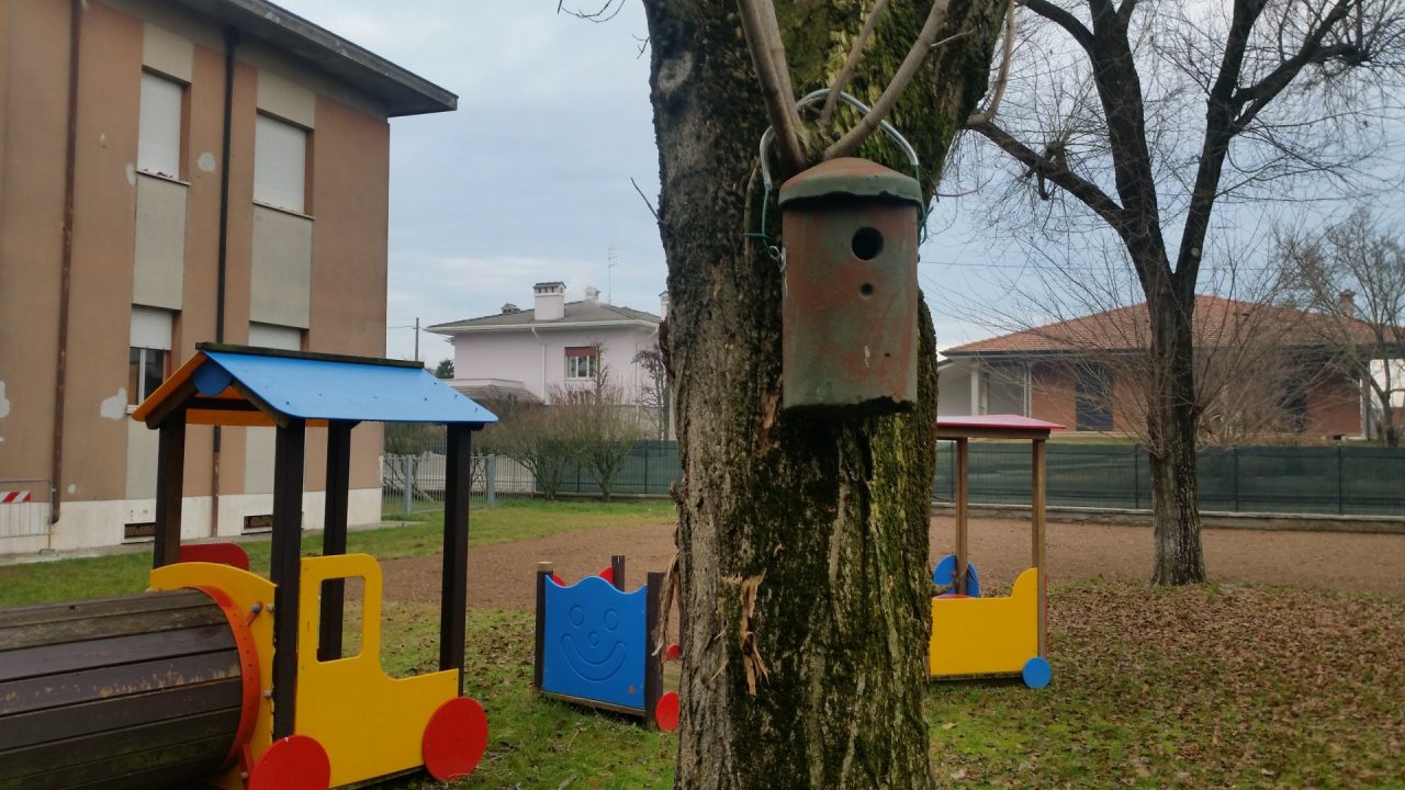 Casette nido nel giardino della scuola: cura di pipistrelli e cinciallegre