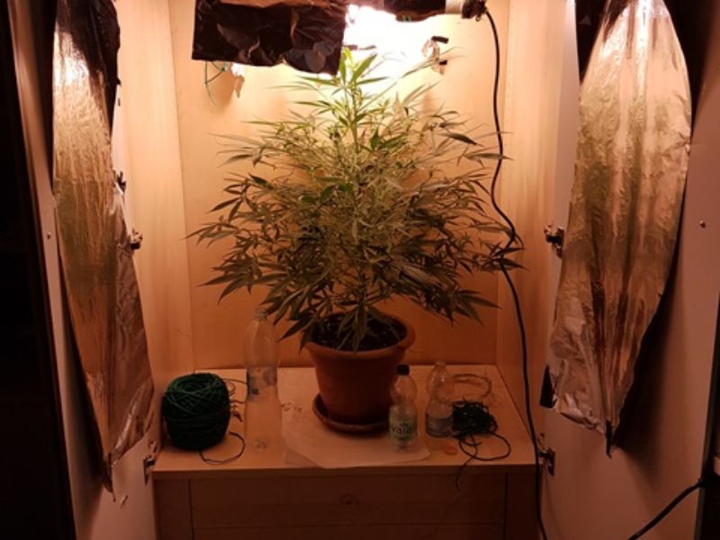 Coltivavano marijuana nell’armadio di casa: smantellati i sogni di ricchezza di due giovani studenti