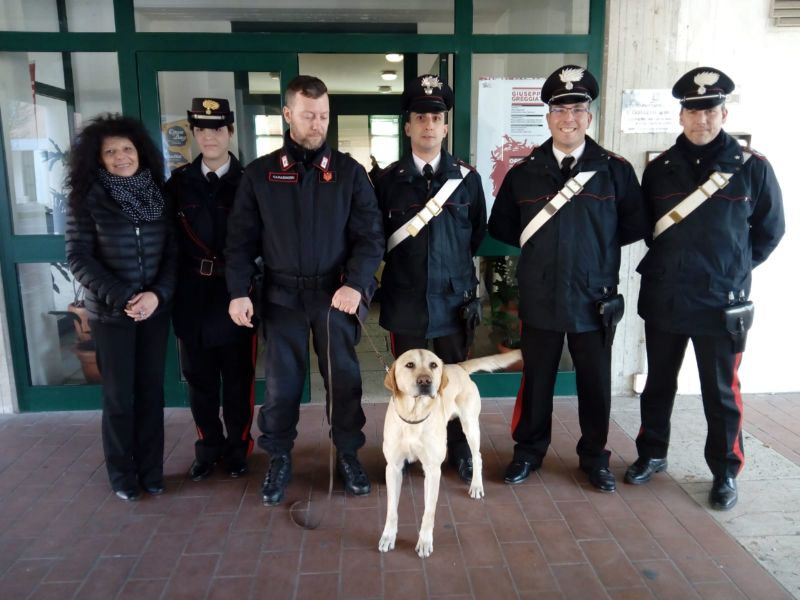 Cani antidroga all’Istituto Greggiati di Poggio Rusco: segnalati due studenti