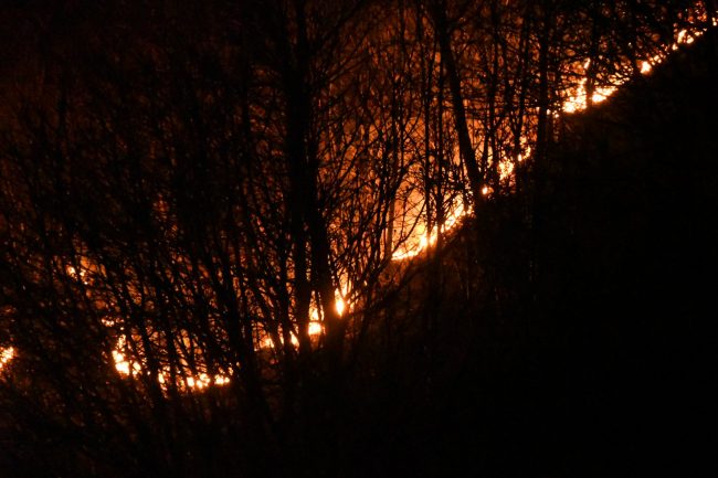 Da Regione il divieto di accensione di fuochi: è allerta incendi boschivi