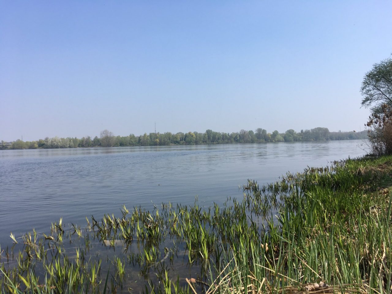 Il Lago di Mezzo, alle porte di Mantova