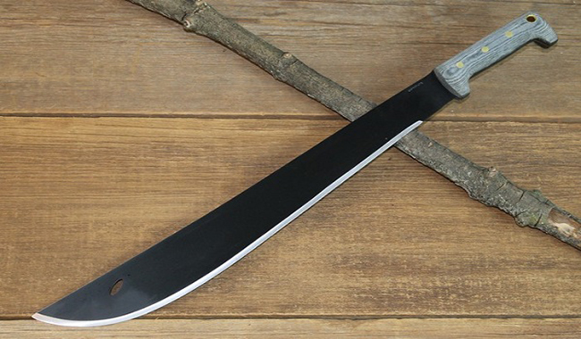 Tenta di uccidere una donna con un machete: condannato ed espulso cittadino indiano