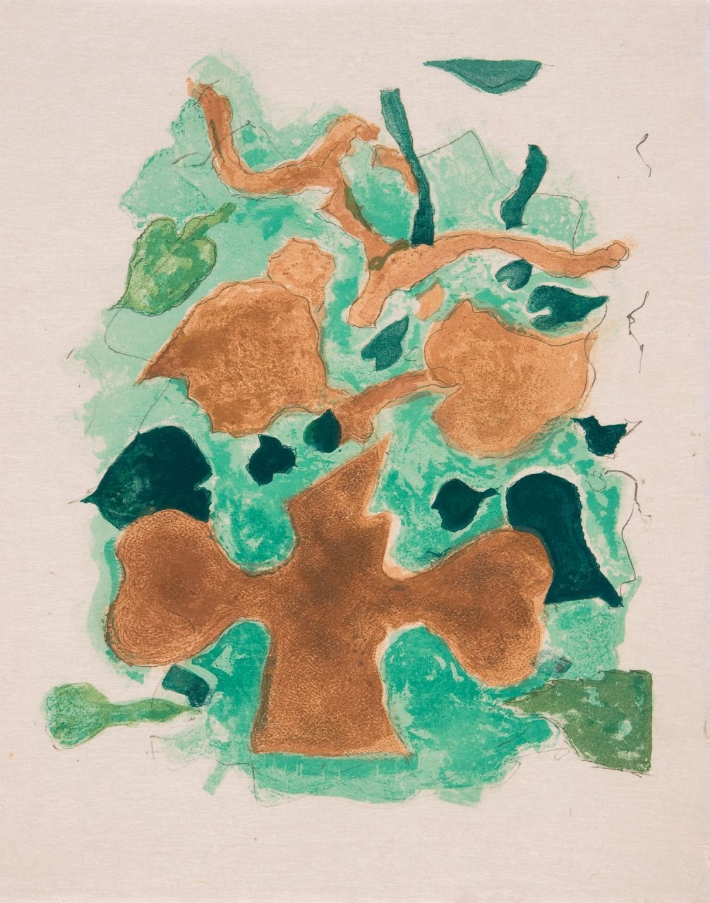 Braque Mantova