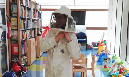 Ospedale Mantova: in Pediatria arrivano le api