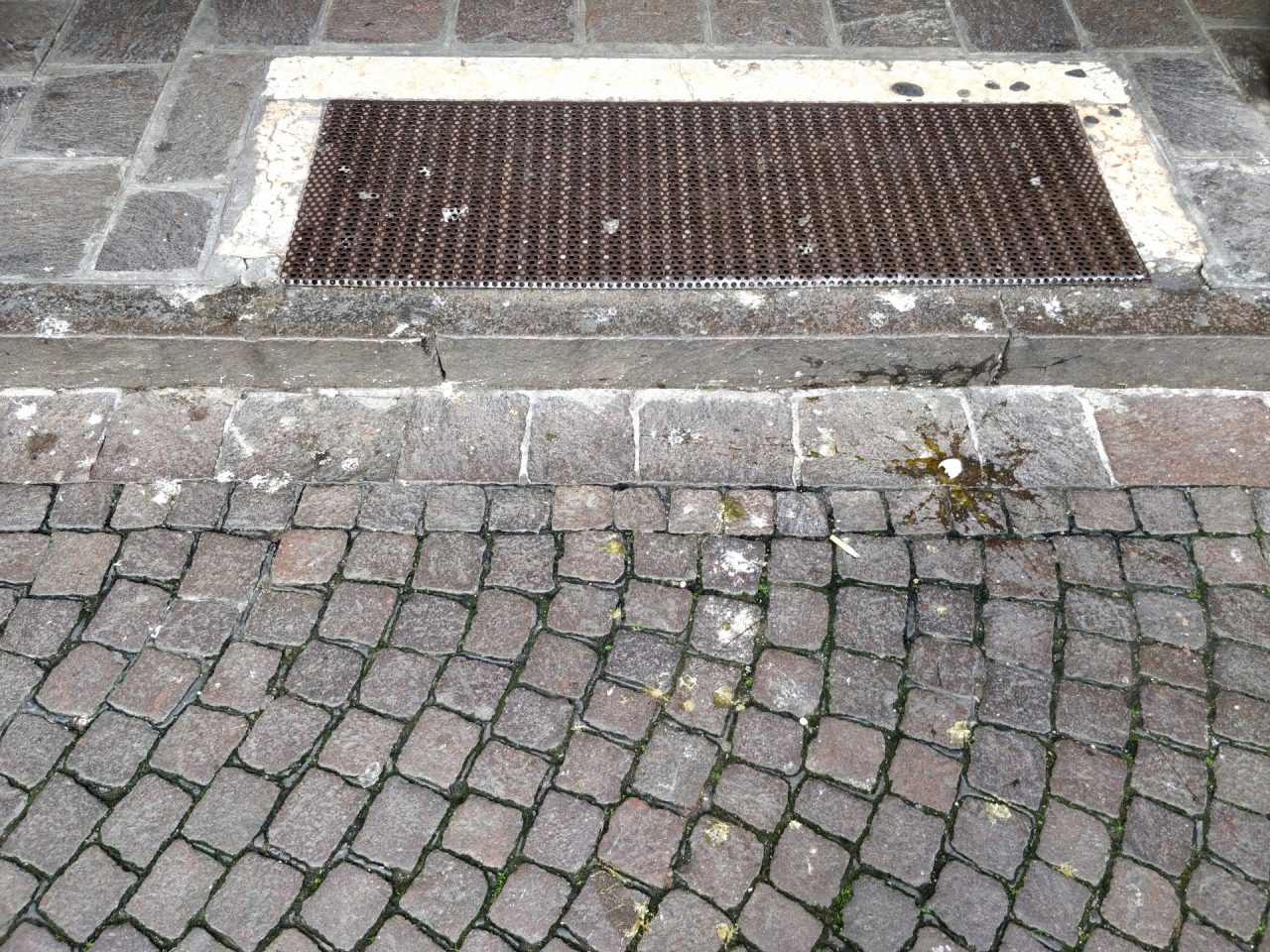 Sporcizia guano portici Mantova