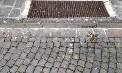 Sporcizia e guano sotto i portici di Mantova: i piccioni sono un mezzo disastro FOTO