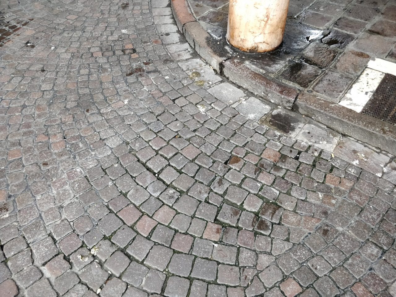 Sporcizia guano portici Mantova
