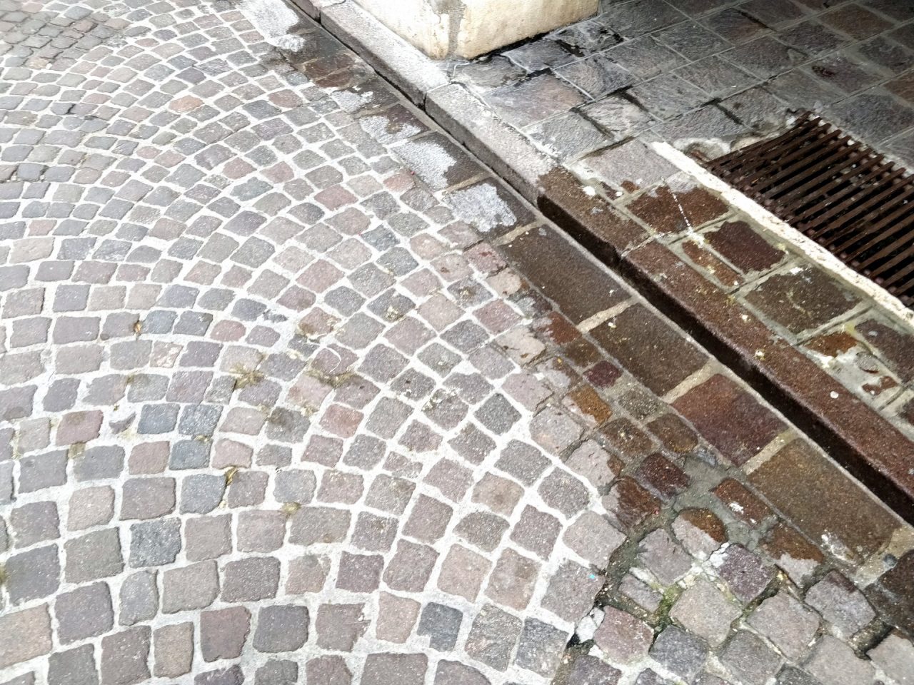 Sporcizia guano portici Mantova