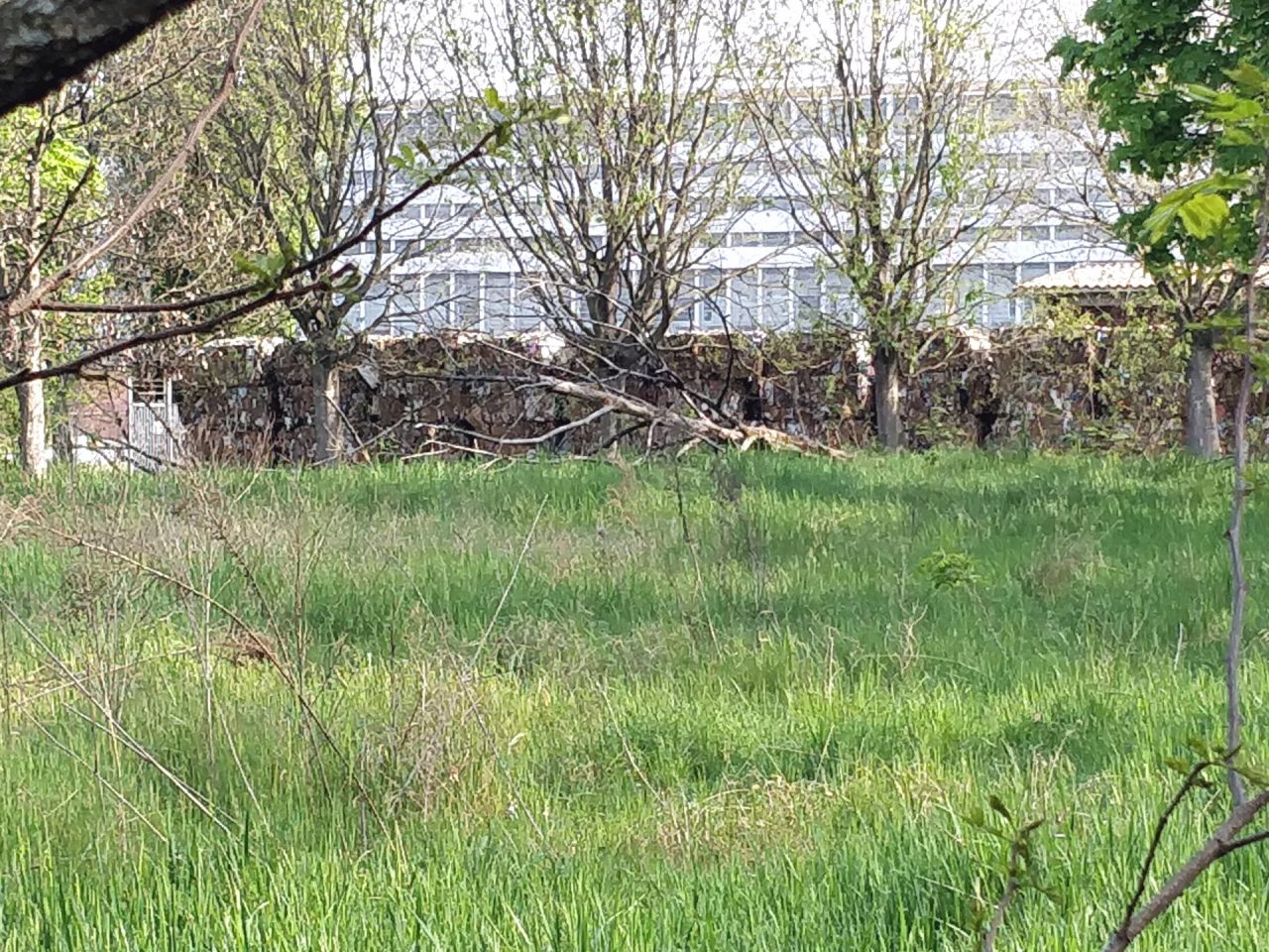 Polemiche sulla cartiera a Mantova, Pro Gest: “Non ci fanno lavorare”