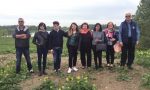 “Per fare tutto ci vuole un albero”: nuove piantumazioni nel parco di Arci Laghi Margonara