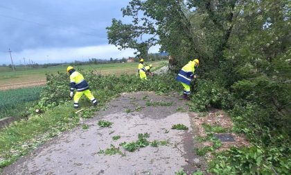 Il maltempo flagella Castiglione: vento, pioggia e decine di alberi caduti FOTO