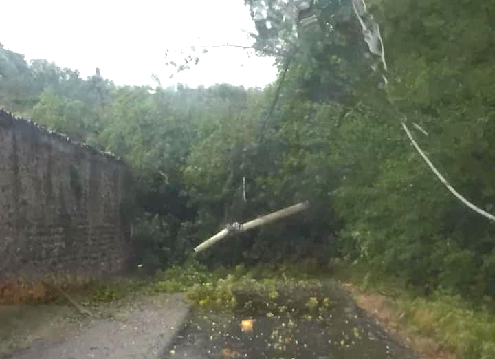 Ancora maltempo: alberi abbattuti e notte di interventi