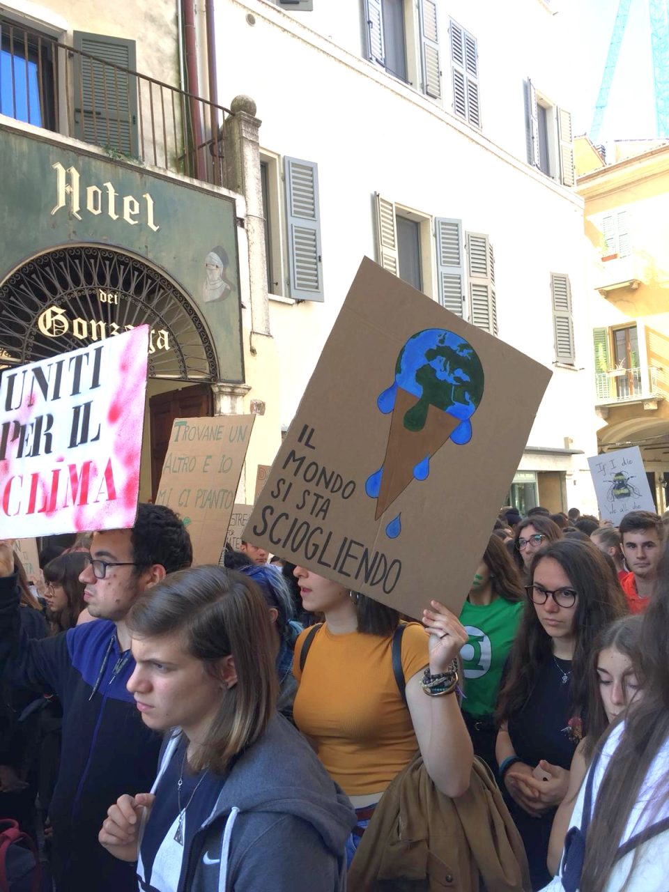 Fridays for future a Mantova