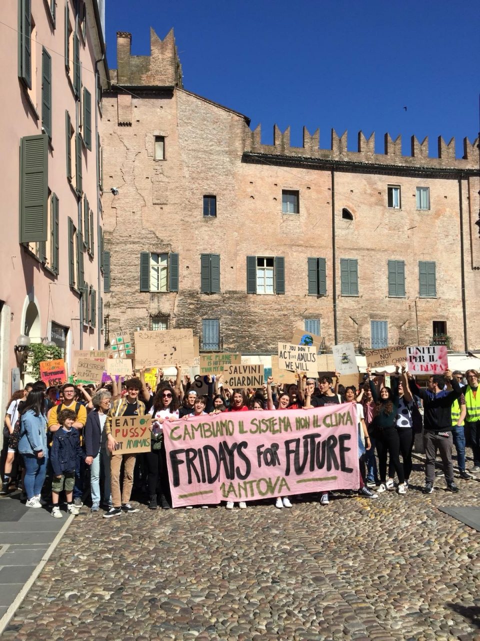 Fridays for future a Mantova