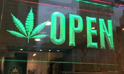 Cannabis shop giro di vite a Mantova: sospesa la licenza a 5 esercizi