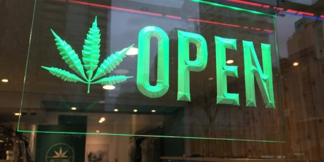Cannabis shop giro di vite a Mantova: sospesa la licenza a 5 esercizi
