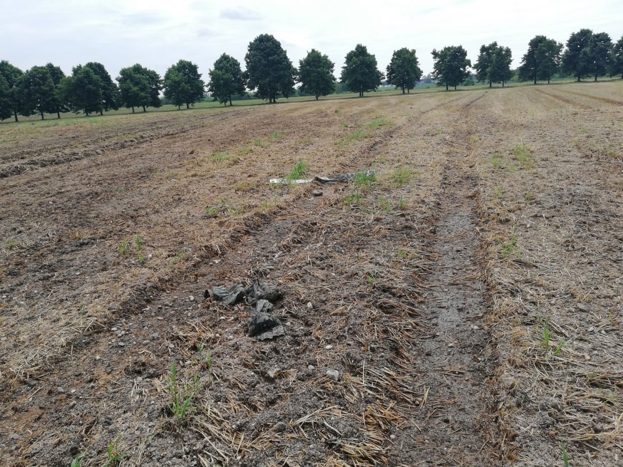 Rivalta sul Mincio: sequestrati 60 ettari di terreni agricoli